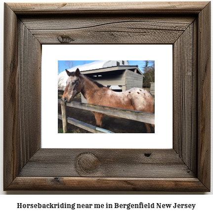 horseback riding near me in Bergenfield, New Jersey